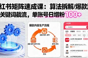 (16231期)小红书矩阵起号速成课:算法拆解/爆款流水线/关键词截流 单账号日增粉100+