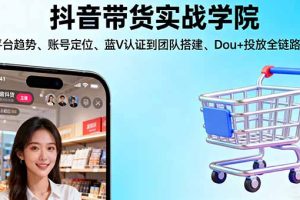 (16215期)抖音带货实战学院:从平台趋势/账号定位/蓝V认证到团队搭建/Dou+投放全链路