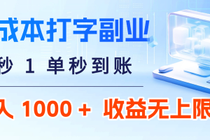 0 成本打字副业：5 秒 1 单秒到账，日入 1000 + 不是梦，收益无上限！