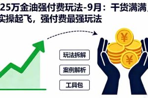 (16202期)2025万金油强付费玩法-9月:干货满满,全程实操起飞,强付费最强玩法