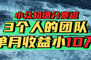 小众超细分赛道，一年百万利润的盘子！