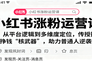 小红书涨粉运营课:从平台逻辑到多维度定位,传授挣钱 “核武器”,助力普通人逆袭