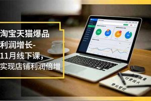 (16824期)淘宝天猫爆品利润增长-11月线下课,免费流量、付费放大、费比管控,实现店铺利润倍增