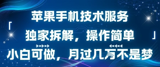 苹果手机技术服务,独家拆解,操作简单,小白可做,月过1W不是梦插图 苹果手机技术服务,独家拆解,操作简单,小白可做,月过1W不是梦插图