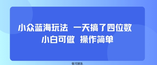 小众蓝海玩法 一天搞了四位数 小白可做 操作简单插图 小众蓝海玩法 一天搞了四位数 小白可做 操作简单插图