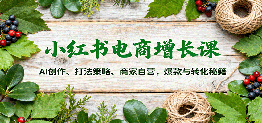 小红书电商增长课:AI创作、打法策略、商家自营,爆款与转化秘籍插图 小红书电商增长课:AI创作、打法策略、商家自营,爆款与转化秘籍插图