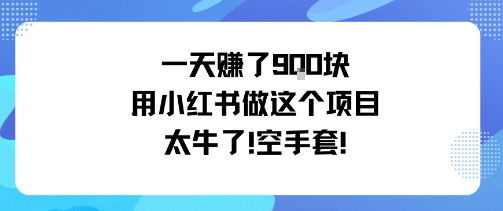 一天挣了9张用小红书做这个项目太牛了,空手套插图 一天挣了9张用小红书做这个项目太牛了,空手套插图