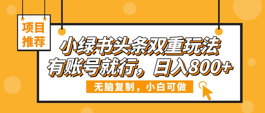 小绿书头条双重玩法，有账号就行，日入800+插图