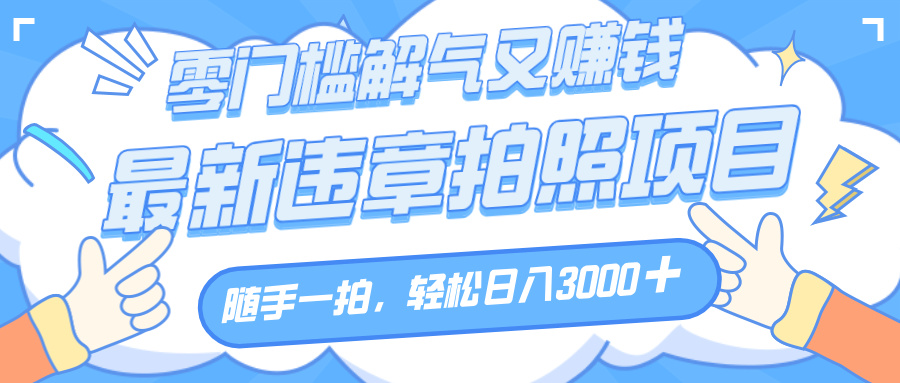 解气又赚钱的项目，随手一拍，轻松收入3000+，最新违章拍照赚钱插图