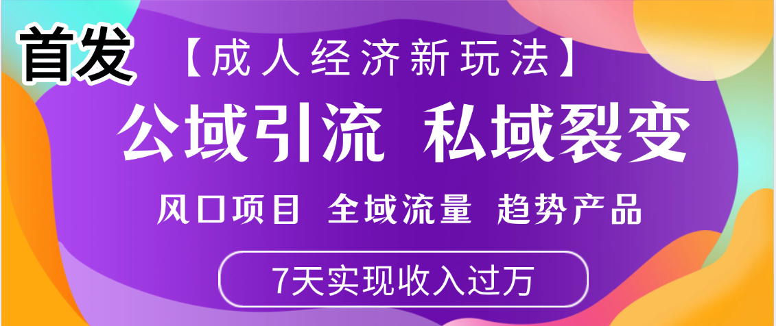 首发：【成人经济新玩法】市面独家玩法，风口项目、全域流量、趋势产品，7天实现月入过万插图
