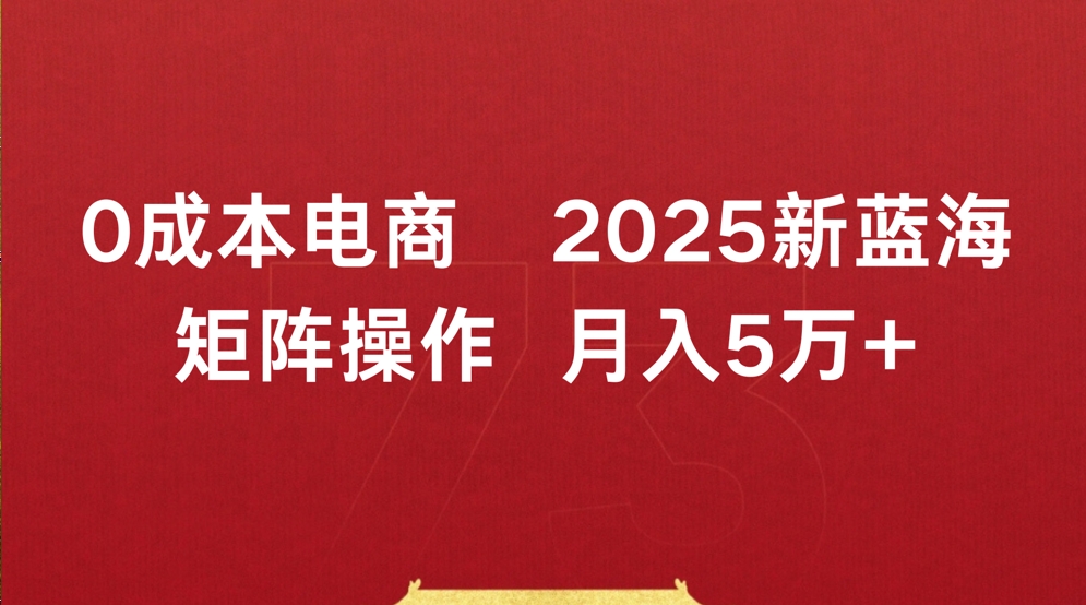0成本电商2025新蓝海矩阵操作 月入5万+插图