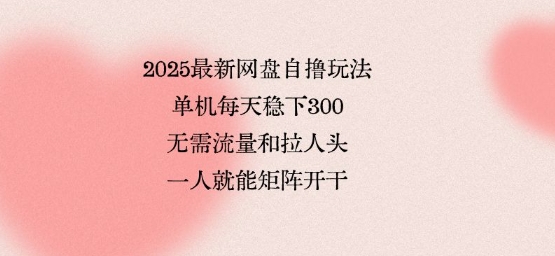 2025最新网盘自撸玩法，单机每天稳下3张，无需流量和拉人头，一个人就可轻松矩阵，全网独一份【揭秘】插图