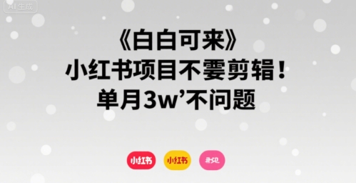 小白可来 小红书项目不需要剪辑 单月3w不是问题插图 小白可来 小红书项目不需要剪辑 单月3w不是问题插图