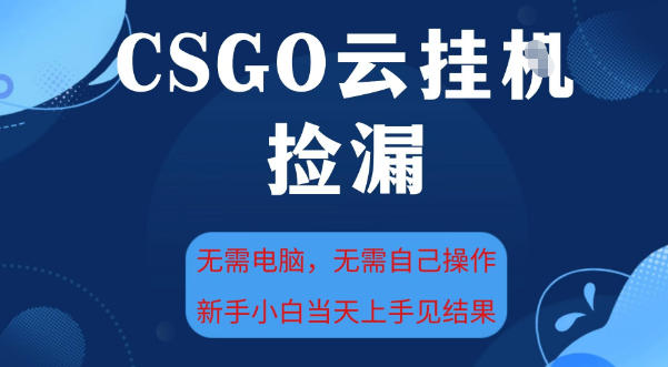 CSGO云挂G全自动捡漏，最新独家玩法，无需电脑操作，新手小白日入5张+【揭秘】插图