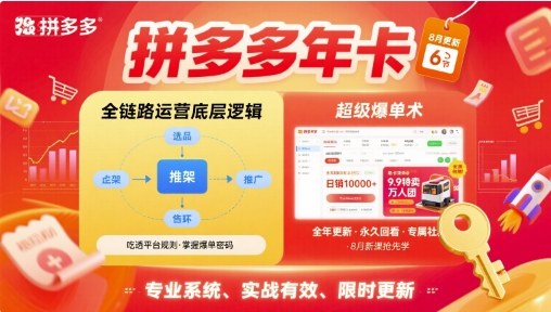 拼多多年卡【8月更新6节】拼多多全链路运营底层逻辑,超级爆单术插图 拼多多年卡【8月更新6节】拼多多全链路运营底层逻辑,超级爆单术插图