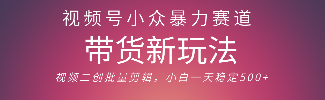视频号小众暴力赛道，最新带货玩法 小白也能轻松日入500+ 保姆及教程插图