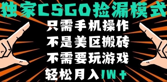 CSGO自动捡漏项目，最新独家玩法，不是美区搬砖，不需要了解和玩游戏，新手小白轻松月入1W+【揭秘】插图