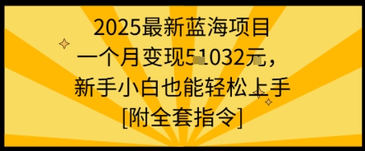 2025最新蓝海项目一个月变现1w+新手小白也能轻松上手【附全套指令】插图