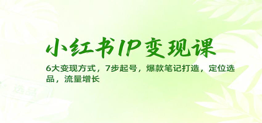 小红书IP变现课:6大变现方式,7步起号,爆款笔记打造,定位选品,流量增长插图 小红书IP变现课:6大变现方式,7步起号,爆款笔记打造,定位选品,流量增长插图