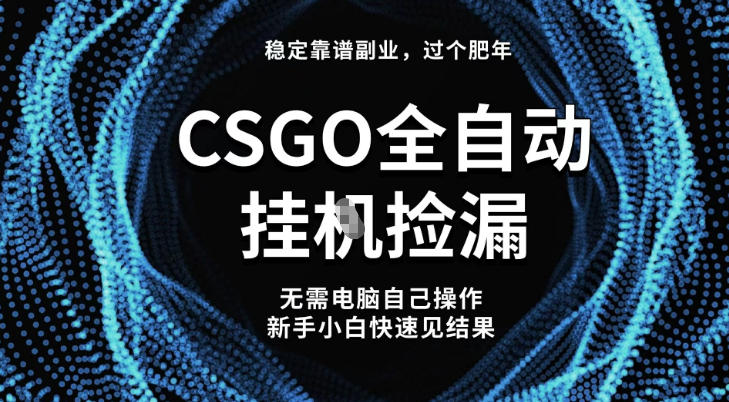 【稳定副业】全球最热门游戏CSGO全自动捡漏，最新玩法，新手小白日入5张+【揭秘】插图
