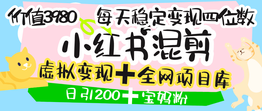 价值3980的小红书混剪， 虚拟变现 ＋全网项目库 ， 日引200+宝妈创业粉，每天稳定四位数变现插图