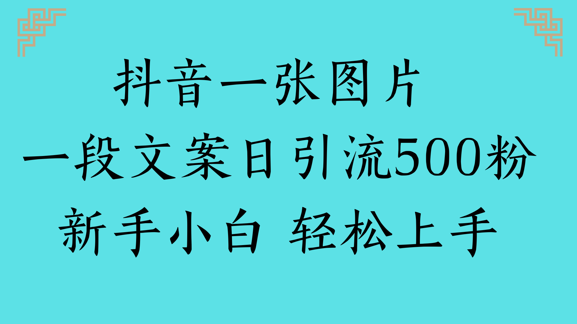 抖音一张图片 一段文案日引流500粉新手小白 轻松上手插图