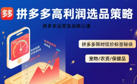 拼多多选品暴利技术实战课，拼多多高利润选品策略，拼多多限时低价标签秘诀插图