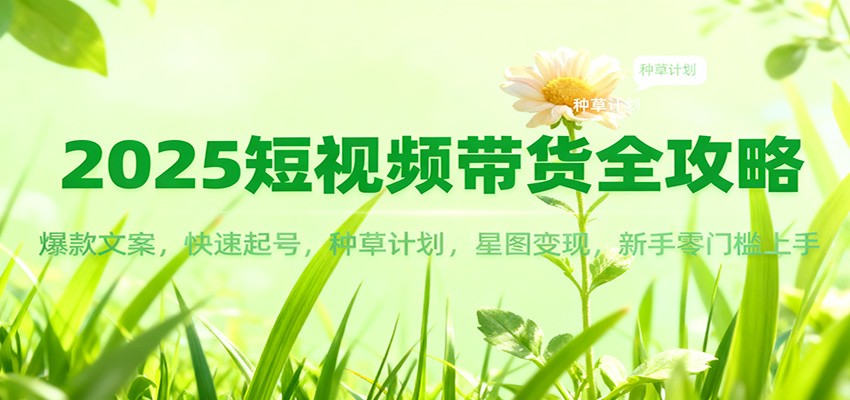 2025短视频带货全攻略：爆款文案，快速起号，种草计划，星图变现，新手零门槛上手插图