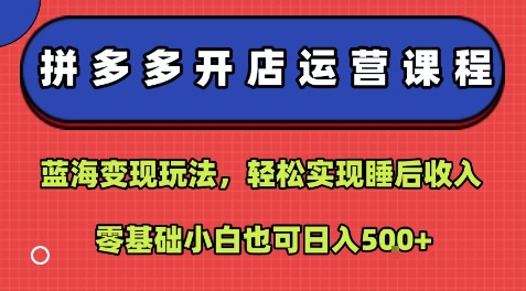 拼多多开店运营课程:蓝海变现玩法,轻松实现睡后收入,零基础小白也可日入5张插图 拼多多开店运营课程:蓝海变现玩法,轻松实现睡后收入,零基础小白也可日入5张插图