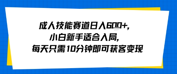 成人技能赛道日入多张,小白新手适合入局,每天只需10分钟即可获客变现插图 成人技能赛道日入多张,小白新手适合入局,每天只需10分钟即可获客变现插图