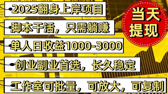 （16501期）2025翻身上岸项目脚本干活，内部客户经理内部开号，单人日收益1000-300…插图
