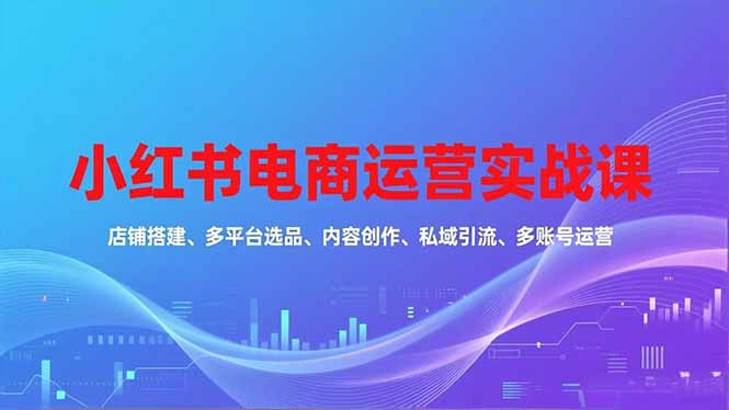 （16695期）小红书电商运营实战课，店铺搭建、多平台选品、内容创作、私域引流、多账号运营等玩法插图