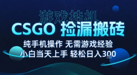 8月最新游戏搬砖,CSGO纯挂G,不需要玩游戏,实现真挂G,月入1W+【揭秘】插图 8月最新游戏搬砖,CSGO纯挂G,不需要玩游戏,实现真挂G,月入1W+【揭秘】插图