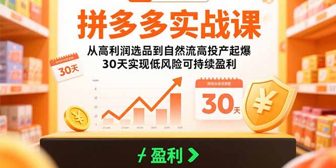 (15586期)拼多多实战课:从高利润选品到自然流高投产起爆 30天实现低风险可持续盈利插图 (15586期)拼多多实战课:从高利润选品到自然流高投产起爆 30天实现低风险可持续盈利插图