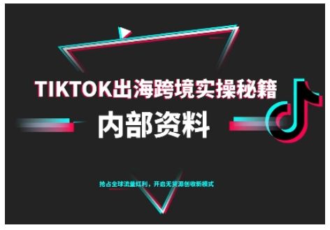 TikTok跨境电商0-1搭建运营，TK出海跨境实操秘籍（10月更新）插图