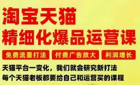 淘宝天猫精细化爆品运营课，免费流量打法-付费广告放大-利润增长-三大核心痛点，一次全部解决插图