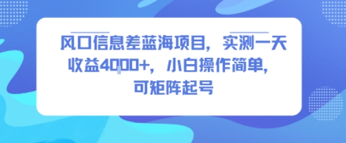 风口信息差蓝海项目，实测一天收益4k+，小白操作简单，可矩阵起号插图