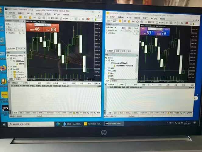 (15748期)美金对冲创业项目,日收益1000-3000,小众暴力项目稳定运行8年插图5 (15748期)美金对冲创业项目,日收益1000-3000,小众暴力项目稳定运行8年插图5