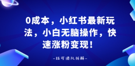 0成本,小红书最新玩法,小白无脑操作,快速涨粉变现插图 0成本,小红书最新玩法,小白无脑操作,快速涨粉变现插图