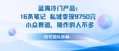 蓝海项目:16条笔记私域变现9750米小众赛道操作的人不多插图 蓝海项目:16条笔记私域变现9750米小众赛道操作的人不多插图