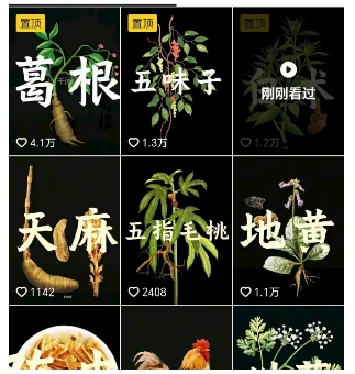 抖音中草药赛道,用AI做中草药故事视频,45条作品涨粉13W,橱窗带货猛猛出单插图1 抖音中草药赛道,用AI做中草药故事视频,45条作品涨粉13W,橱窗带货猛猛出单插图1