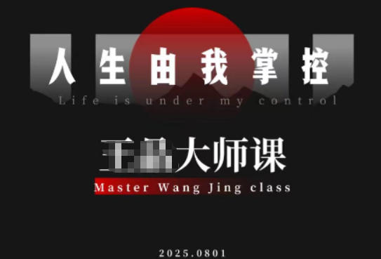 流量破局-人生由我掌控，从素人快速进阶，实现流量与商业价值双丰收插图