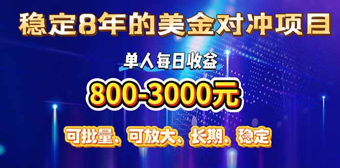 （15782期）稳定8年的美金对冲创业项目，单人每日收益800-3000，小众暴力项目插图