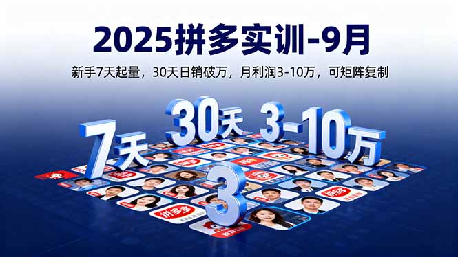 (16008期)2025拼多多实训-9月:新手7天起量,30天日销破万,月利润3-10万,可矩阵复制插图 (16008期)2025拼多多实训-9月:新手7天起量,30天日销破万,月利润3-10万,可矩阵复制插图